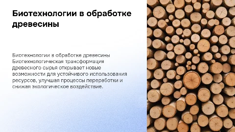 Биотехнологическая трансформация древесного сырья
