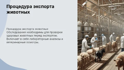 Порядок проведения обследований ХС для экспорта с/Х животных