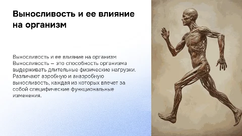 Выносливость и ее виды: функциональные изменения в организме