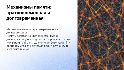 Доклад на тему механизмов кратковременной и долговременной памяти
