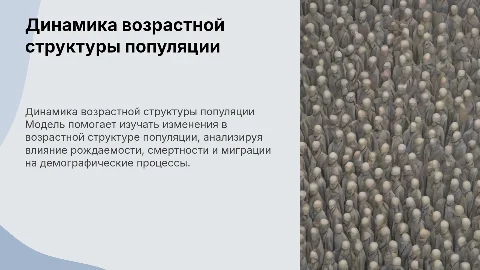 Модель динамики возрастной структуры популяции