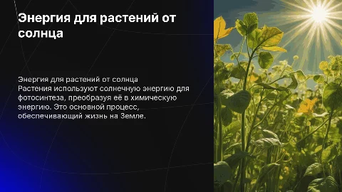 Как растение получает энергию солнечных лучей