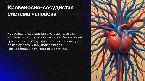 Кровеносно-сосудистые системы
