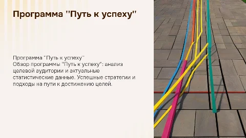 Презентация программы "Путь к успеху" с анализом ЦА
