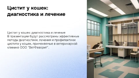 Диагностика и лечение цистита у кошек в ВетФаворит