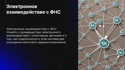 Электронное взаимодействие с налоговыми органами: преимущества
