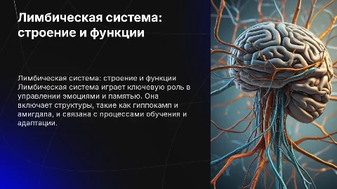 лимбическая система. Общий план, строение и функции