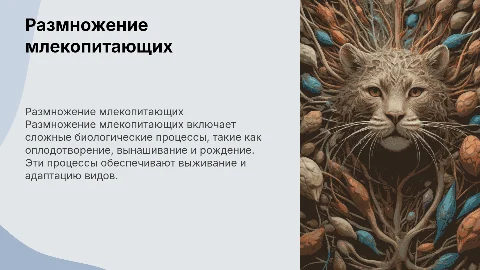 Размножение млекопитающих