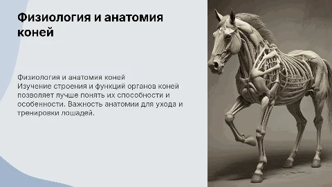 физиология и анатомия коней