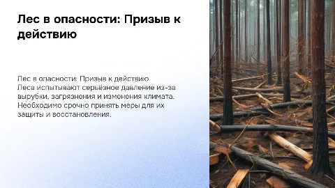 Лес просит помощи