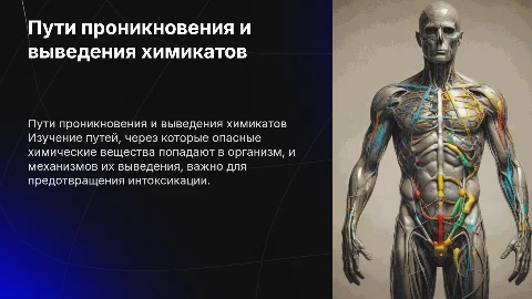 Пути проникновения и выведения химических веществ из организма