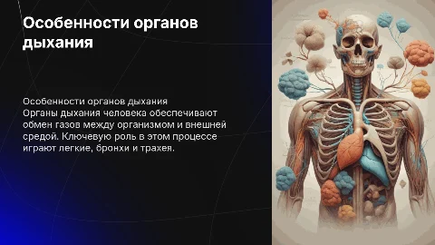 Анатомо-физиологические особенности органов дыхания человека