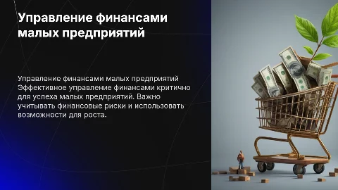 Управление финансовыми ресурсами малых предприятий и риски