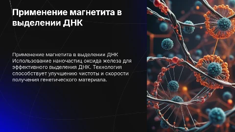 Применение наночастиц магнетита для выделения ДНК