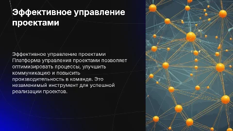 Платформа управления проектами