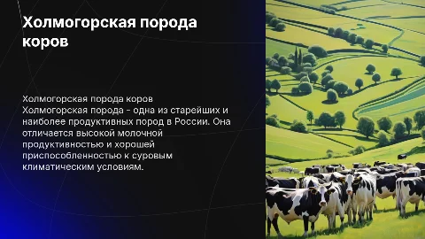 Холмогорская порода коров: происхождение и продуктивность