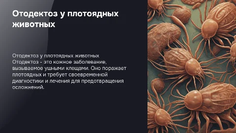 Отодектоз у плотоядных животных