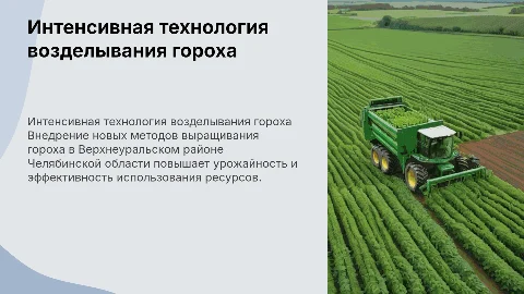 Внедрение интенсивной технологии возделывания гороха