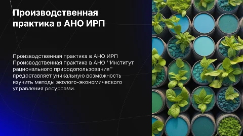 Производственная практика в АНО ИРП: ключевые аспекты