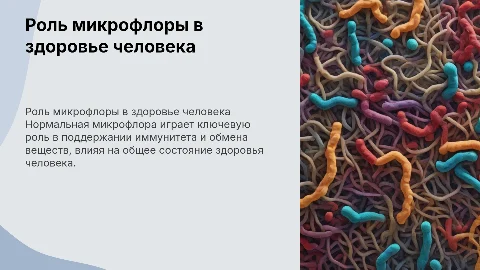Роль нормальной микрофлоры человека