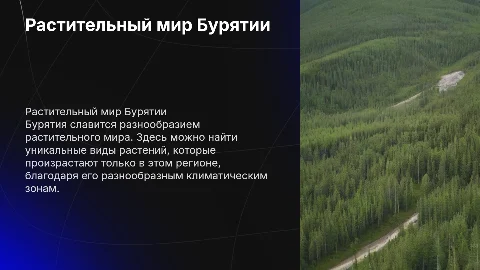 Растения Бурятии