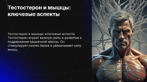 тестостерон и его роль в обеспечении мышечной деятельности