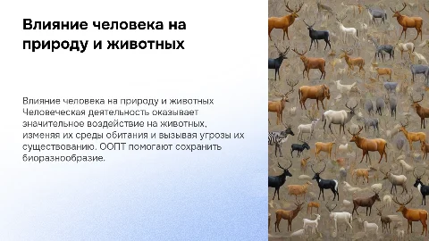 Влияние человека на животных и ООПТ