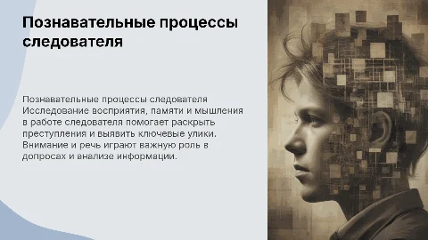 Познавательные процессы в профессии следователя