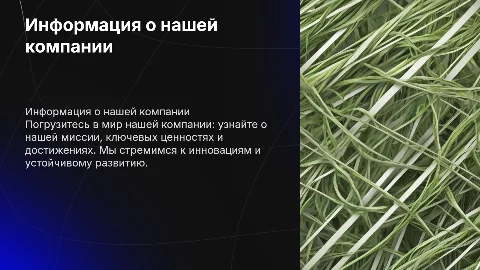 Информация о компании