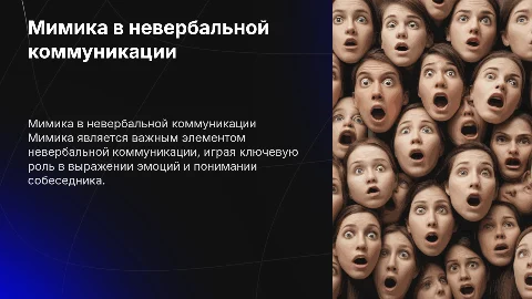 Мимика как вид невербальной коммуникации: виды и роль