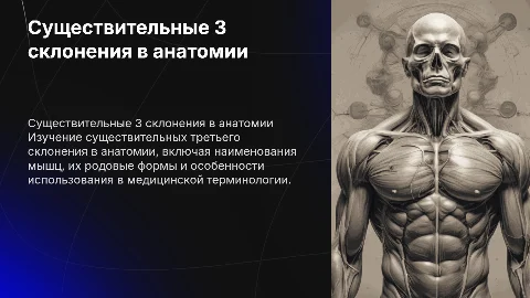 Существительные 3 склонения, все рода, наименования мышц