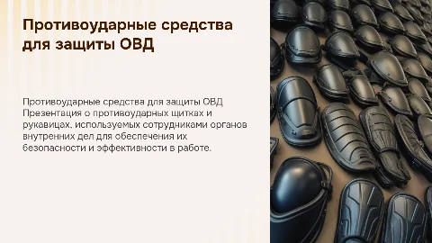 Противоударные щитки и рукавицы для сотрудников ОВД