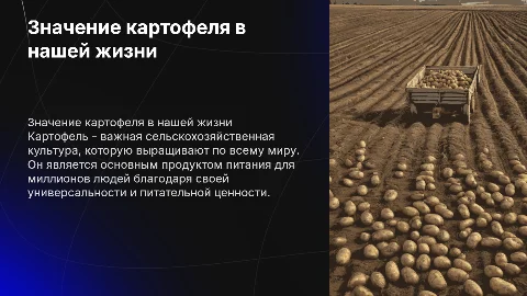 картоха