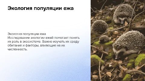 Экология популяции ежа