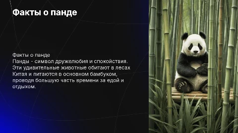 Панда