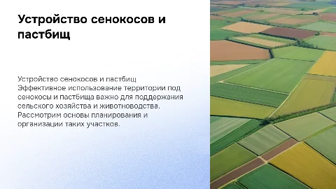 устройство территории сенокоса и пастбищ