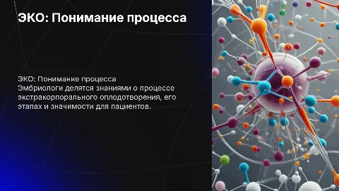 Презентация на тему эко для пациентов от эмбриолога