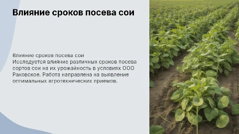 Влияние сроков посева сои на урожайность в дипломной работе