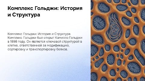 Комплекс Гольджи: История открытия и морфологическое описание