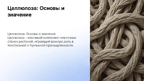 Целлюлоза (клетчатка)