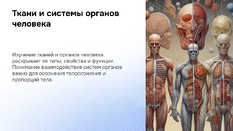 Презентация: Ткани человека: типы, свойства и функции в организме