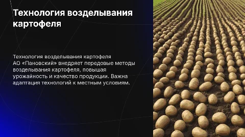 ТЕХНОЛОГИЯ ВОЗДЕЛЫВАНИЯ КАРТОФЕЛЯ НА БАЗЕ АО «ПАНОВСКИЙ»