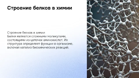 Строение белков в химии