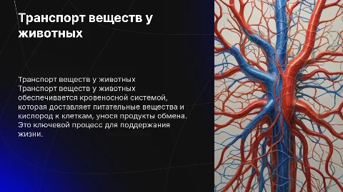 Транспорт веществ у животных