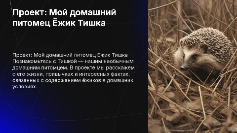 Проект Мой домашний питомец Ёжик Тишка
