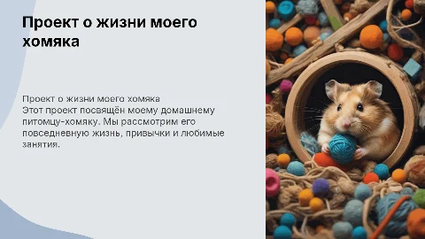 Проект-презентация. Жизнь моего домашнего питомца-хомяка