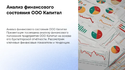 Оценка финансового положения ООО Капитал по бухгалтерской отчётности