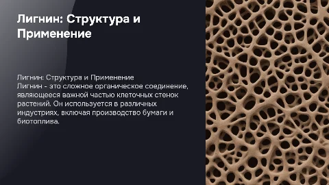 лигнин с библиографическими ссылками 15 источников
