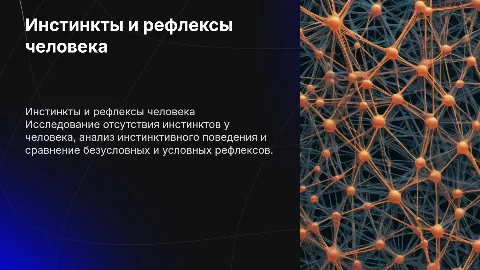 Отсутствие инстинктов у человека и инстинктивное поведение