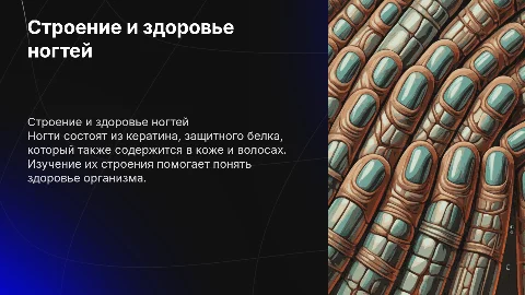 Строение ногтей